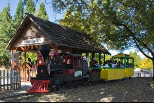 El Dorado Orchards Christmas Trees
